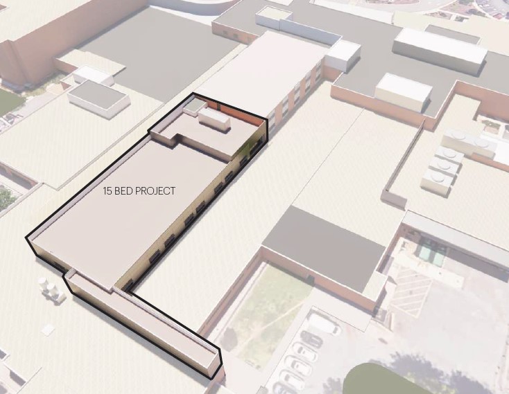 Prince William Hospital Center 15 Bed Optimization